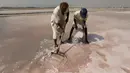 Buruh mengumpulkan garam laut di daerah pesisir dekat Karachi, Pakistan, Sabtu (13/11/2021). Buruh memperoleh rata-rata 1.050 rupee Pakistan (US$ 6) per hari dari pekerjaan mereka untuk mencari nafkah bagi keluarga. (AP Photo/Fareed Khan)