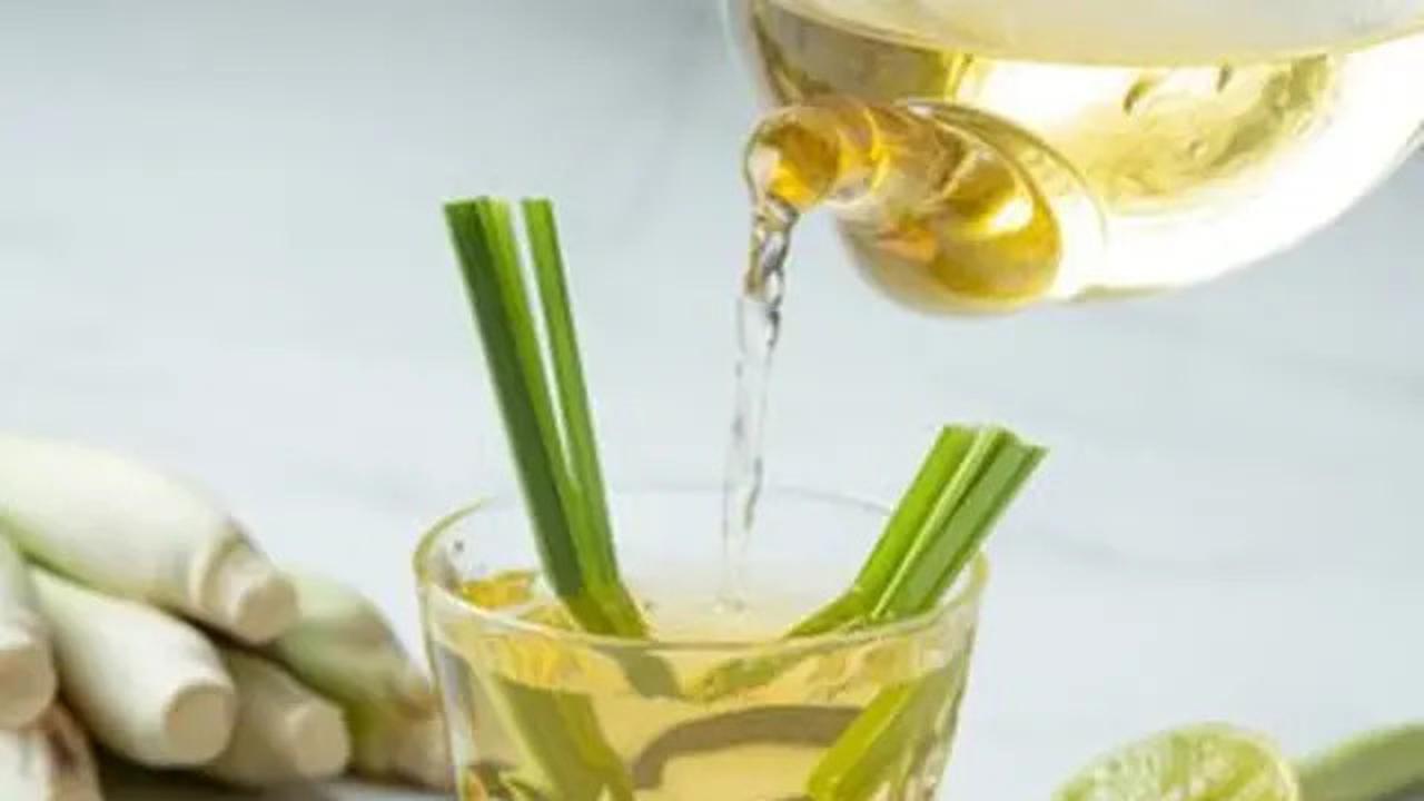 Ini Bau yang Dibenci Tikus, Solusi Alami Bikin Dapur Bersih