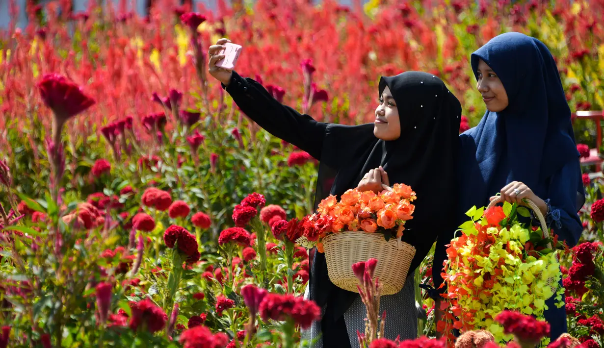 Pengunjung berswafoto saat mengunjungi taman bunga celosia di Banda Aceh, Sabtu (13/7/2019). Taman bunga celosia ini menjadi destinasi wisata baru di Banda Aceh. (CHAIDEER MAHYUDDIN/AFP)