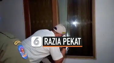 TV Pekat