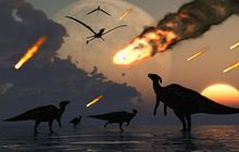 5 Fakta unik dinosaurus mempunyai bulu di tubuhnya