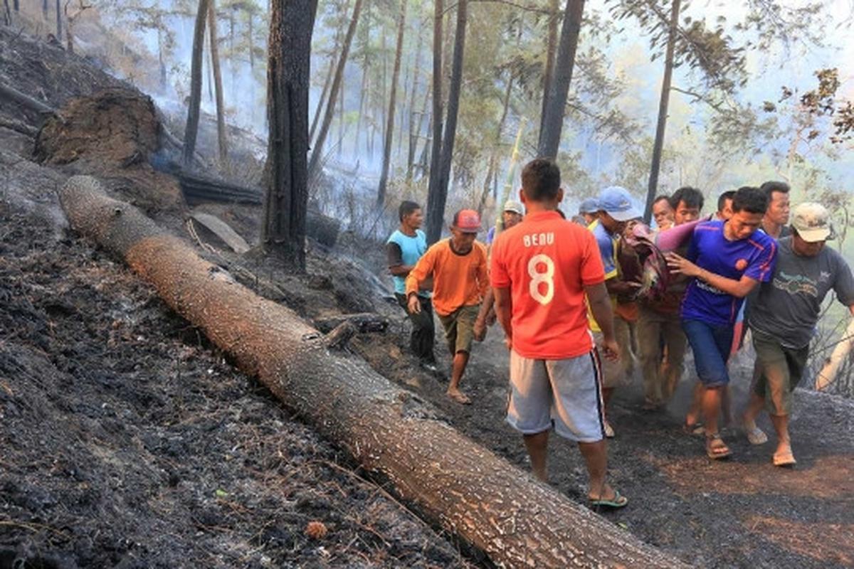 Evakuasi 4 korban tewas kebakaran hutan pinus di Ponorogo