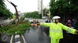 Petugas kepolisian mengatur arus lalu lintas yang tersendat akibat terhalang batang pohon yang jatuh tepat di tengah Jalan Kemang Raya, Jakarta, Sabtu (7/11/2015). Tidak ada korban dalam peristiwa ini. (Liputan6.com/Helmi Fithriansyah)