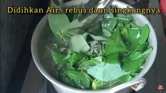 Cara Rebus Daun Singkong Supaya Tetap Hijau dan Tidak Keras Hanya dengan 2 Bahan