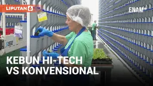 Jejak Karbon Kebun Vertikal Hi-Tech vs Cocok Tanam Konvensional
