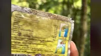 Viral Wanita Temukan Sampah Plastik Masih Utuh Meski Berusia 20 Tahun