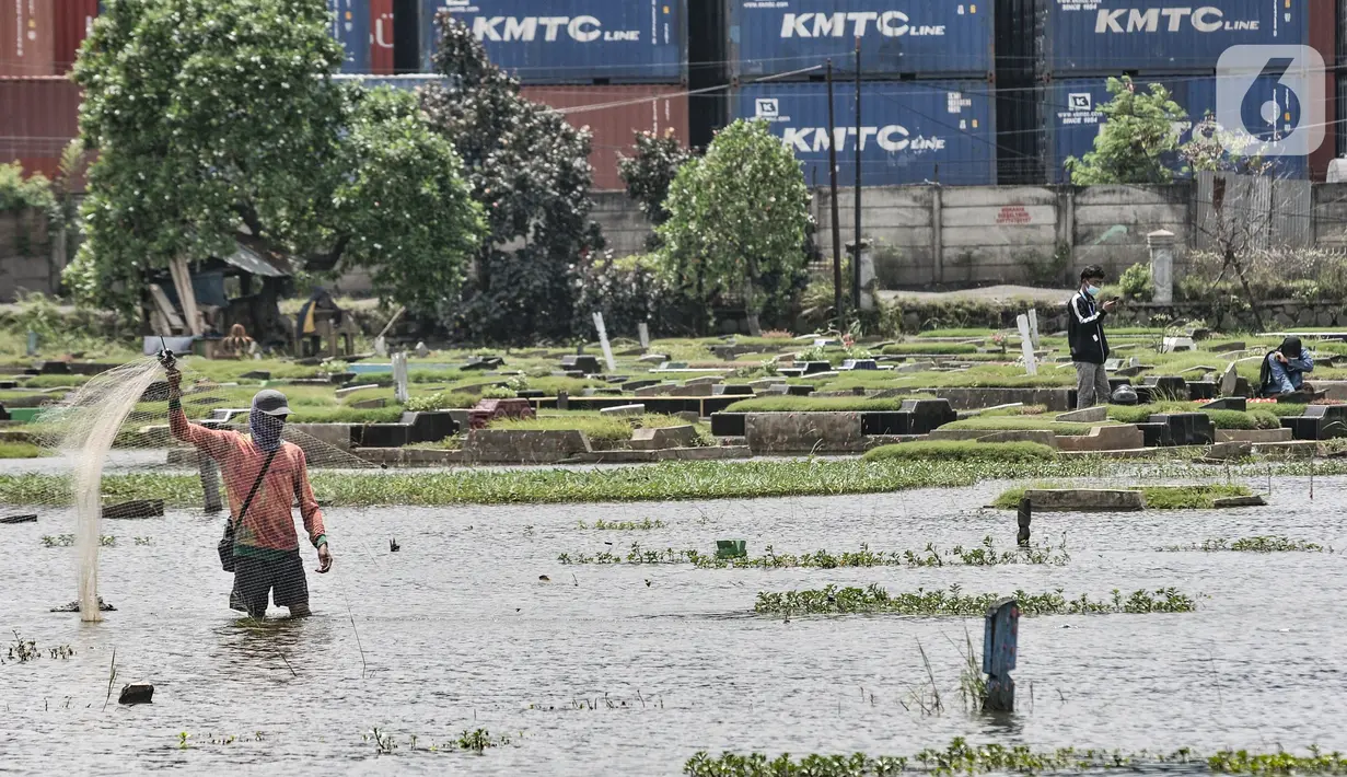 Amir sibuk menjala ikan di dekat warga yang berziarah di salah satu makam TPU Semper, Jakarta, Selasa (2/2/2021). Ikan yang didapat di genangan banjir TPU Semper kebanyakan adalah ikan mujair. (merdeka.com/Iqbal S. Nugroho)