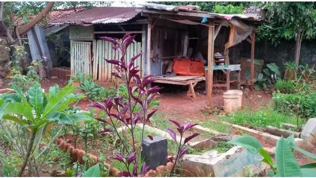 Sebuah gubuk yang terdapat di area pemakaman menjadi rumah ayah Marshanda