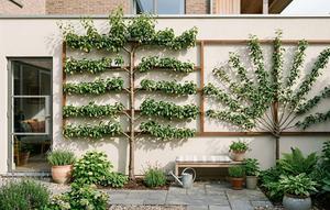 Inspirasi Espalier di Lahan Sempit Rumah (created by AI)