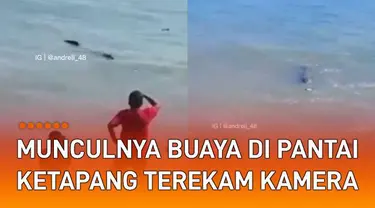 Seekor buaya muncul di permukaan laut sebuah pantai viral di media sosial