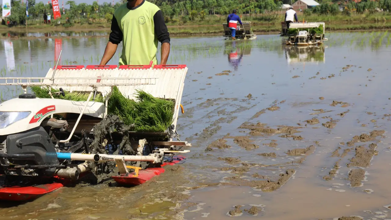 Kementan