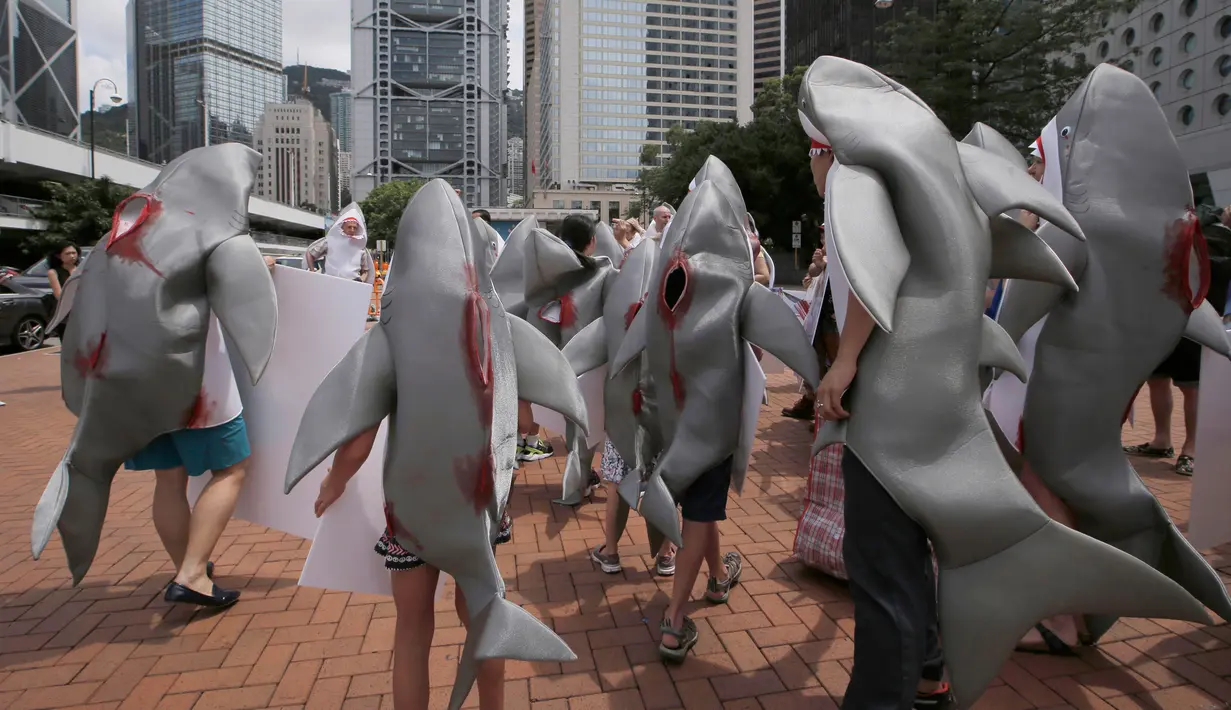 Aktivis konservasi hewan yang mengenakan pakaian hiu menggelar aksinya di dekat restoran di Hong Kong (10/6). Budaya mengkonsumsi sirip ikan hiu ini mengakibatkan makin sedikitnya populasi ikan hiu dan merusak ekosistem laut. (AP Photo / Kin Cheung)