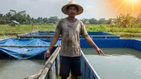 Perbandingan Kolam Terpal Pakai Rangka Besi vs Bambu, Lebih Awet Mana?