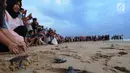 Pengunjung menyaksikan pelepasan lebih dari 300 tukik (anak penyu) Hijau di Pantai Pangumbahan, Ujung Genteng,  Sukabumi, Jawa Barat (27/10). Kegiatan pelepasan tukik pada sore hari ini menjadi  daya tarik pengunjung. (Merdeka.com/Arie Basuki)