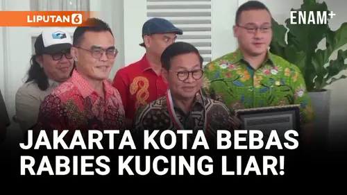 VIDEO: Pramono Anung Resmi Diangkat Jadi Bapak Proklamator Kucing