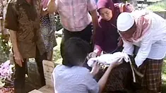 liputan6