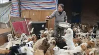 Kisah Mulia 5 Wanita Tiongkok Beri Makan Ribuan Anjing 
