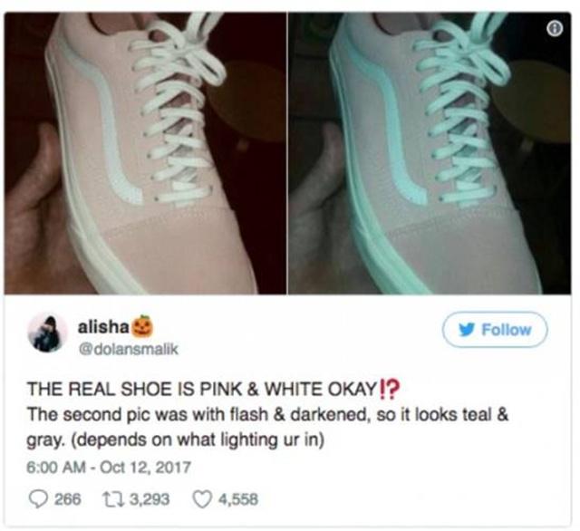Warna sepatu yang benar adalah pink-putih/copyright viral4real.com/twitter.com/@dolansmalik