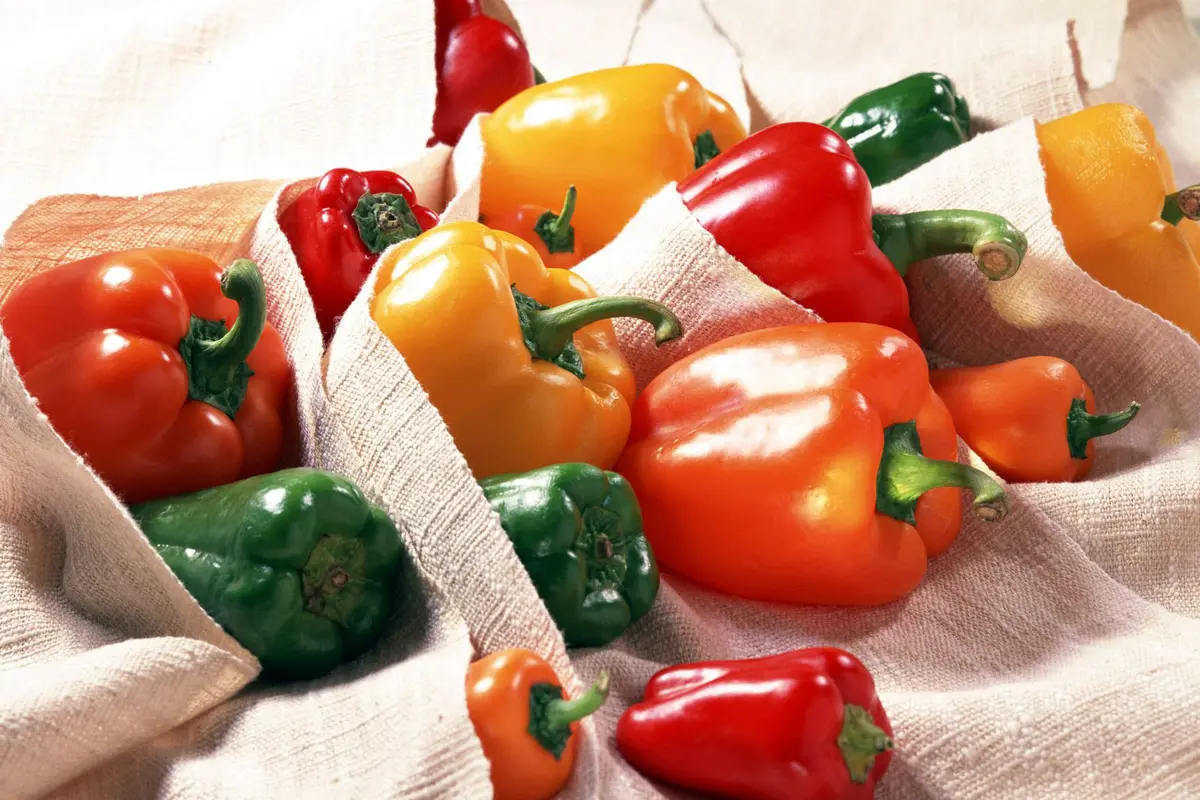 Ternyata Ini 5 Manfaat Paprika untuk Kecantikan