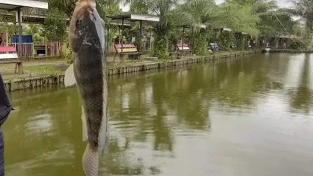 11 Rekomendasi Spot Mancing Nyaman 2025 di Samarinda, Bisa Jadi Ide Rekreasi