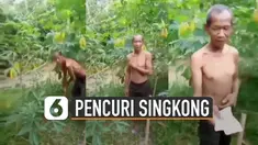 Bukan main hakim sendiri, pelaku justru diijinkan untuk mengambil singkong.