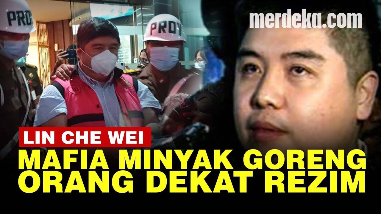 VIDEO: Rekam Jejak Lin Che Wei Mafia Migor, Relawan Jokowi hingga Pernah Bantu Ahok