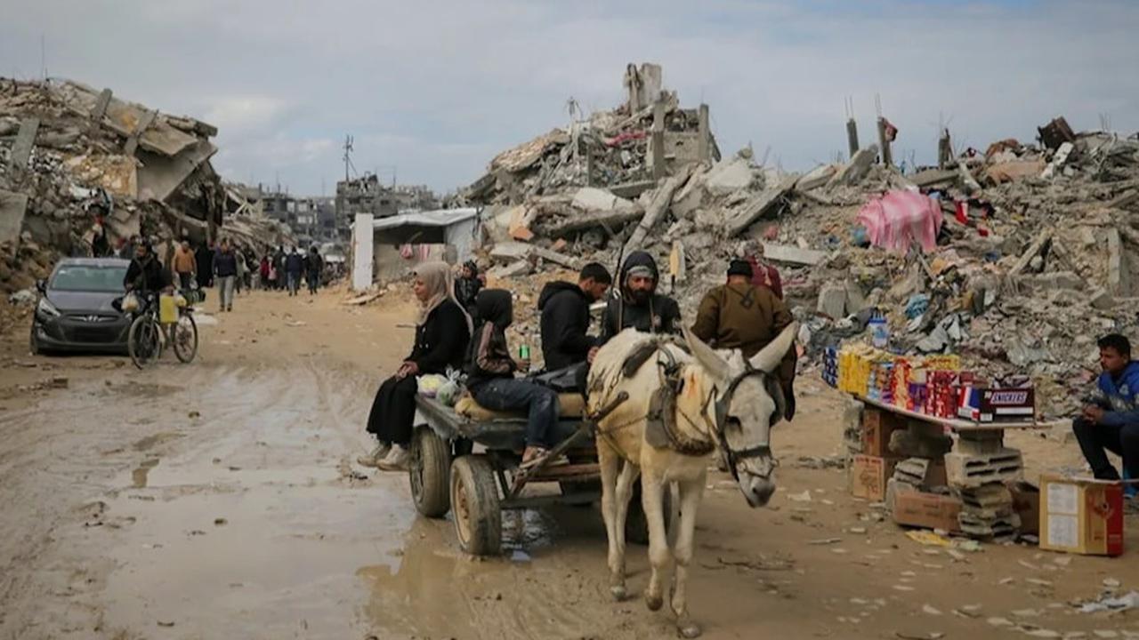 keledai di gaza
