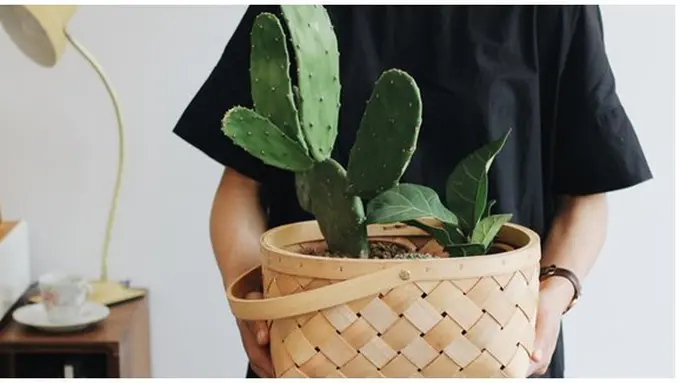 Kesehatan / Copyright : unsplash.com