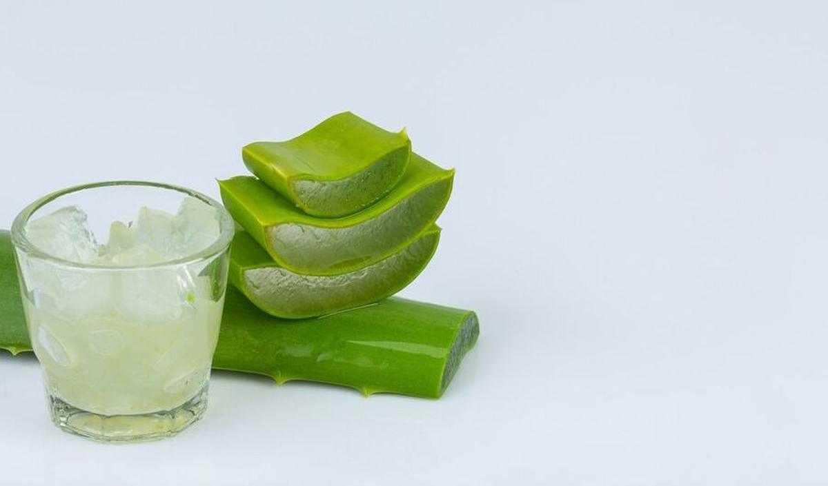 5.&nbsp;Jus Lidah Buaya dan Madu