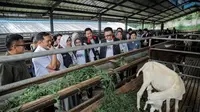 Gandeng Mitra Mikro, Pegadaian Kembangkan Peternakan Berkelanjutan untuk Warga Miskin