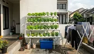 9 Ide Hidroponik di Area Jemuran, Ruang Sempit Jadi Lebih Produktif