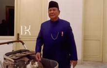 Sah, Bobby The Cat jadi 'Penguasa Istana Merdeka' Dampingi Prabowo