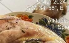 Gejala Keracunan Telur Ikan Buntal, Ketahui Cara Mengatasi dan Kandungan Berbahayanya