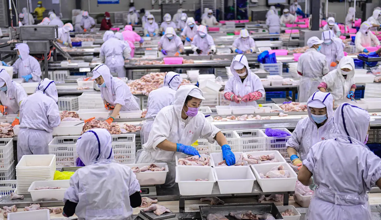 Sejumlah pekerja beraktivitas di pabrik daging dan unggas di Shenyang di provinsi Liaoning timur laut China (26/8/2021).  (AFP/STR/China Out)