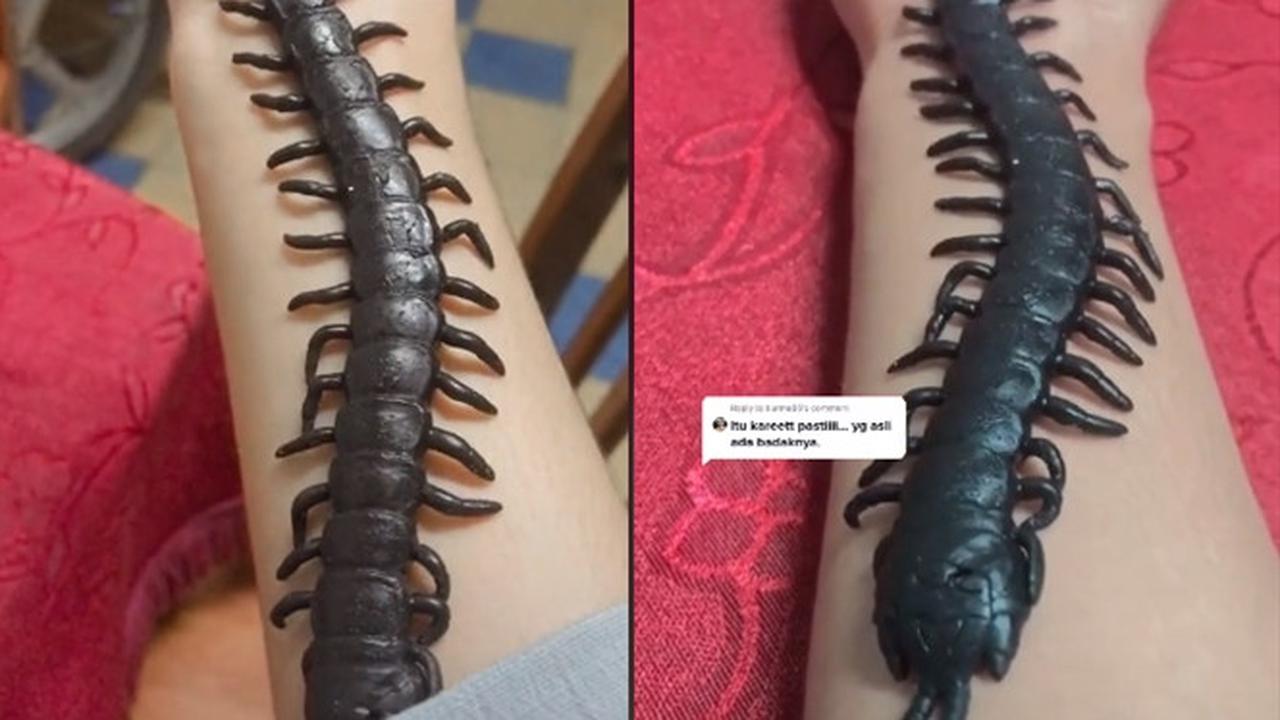 Dikira Mainan, Aksi Wanita Membiarkan Kelabang di Tangannya Ini Bikin Merinding