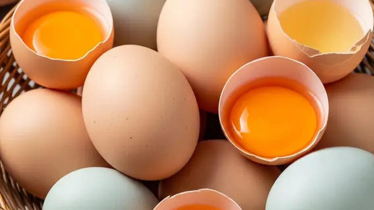 Telur Mentah atau Matang, yang Miliki Kandungan Gizi Lebih Tinggi? Ini Penjelasan Ilmiahnya