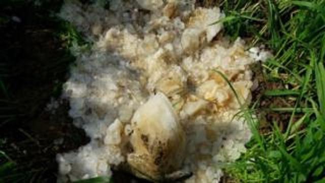 Dikira Meteor, Benda dari Langit ini Ternyata Tinja