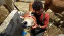 Lelaki Yaman berpose dengan seekor sapi di pasar ternak menjelang Idul Adha di ibu kota Sanaa, 6 Agustus 2019. Umat Islam di seluruh dunia akan merayakan Idul Adha yang identik dengan tradisi berkurban menggunakan hewan seperti kambing, domba, unta, sapi dan kerbau. (MOHAMMED HUWAIS/AFP)