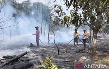 Pemkot Tanjungpinang Tetapkan Status Siaga Karhutla, Warga Diimbau Waspada