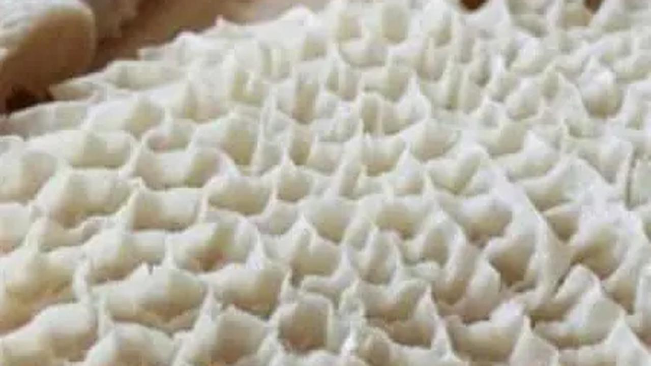 Kelebihan Usus Sapi<br><br>Usus sapi kaya akan zinc, fosfor, vitamin B-12, dan protein. Nutrisi ini mendukung sistem kekebalan, metabolisme, dan kesehatan tulang-gigi.