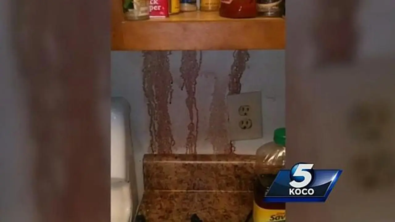 Horor Dinding Apartemen Berdarah di Oklahoma