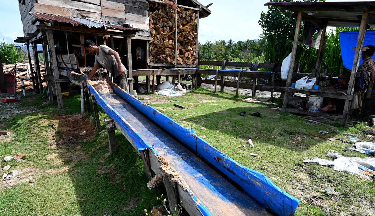 Seorang pekerja mengolah bahan dari pohon sagu di sebuah desa di Labuhan Haji, provinsi Aceh selatan (26/10/2021). Pohon Sagu, atau Rumbia, banyak tumbuh di berbagai wilayah di Indonesia. (AFP/Chaideer Mahyuddin)