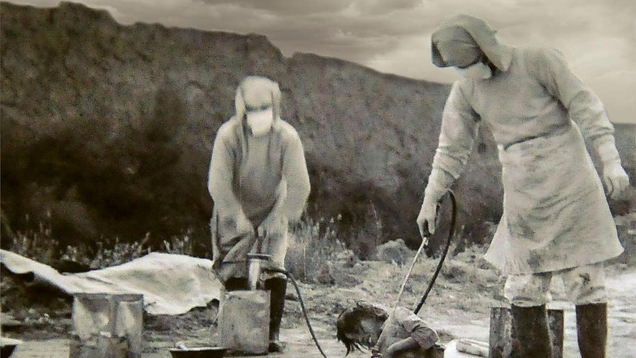 <b>Unit 731&nbsp;</b>