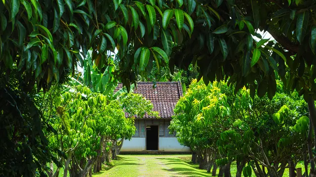 Ide Rumah Sederhana Sejuk di Desa dengan Pohon Buah (AI)