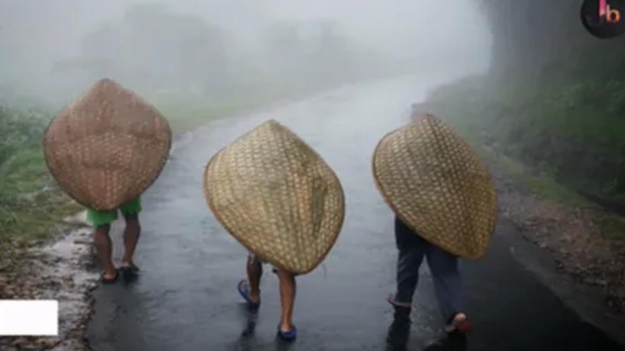 "Masyarakat di sini sudah terbiasa dengan kondisi hujan setiap hari," demikian dikutip dari keterangan video. <br>