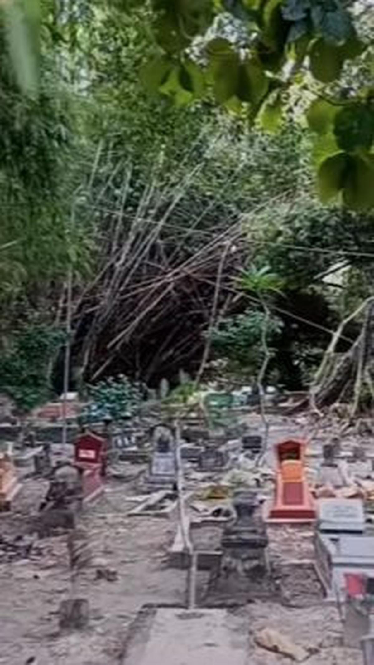 Terletak di Tengah Sawah Samping Kuburan <br>