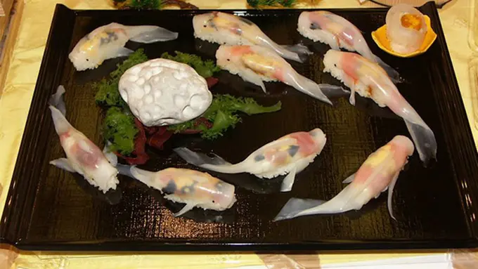 Sushi Koi, Kreasi Unik Bikin Ikan Bisa Berenang di Darat