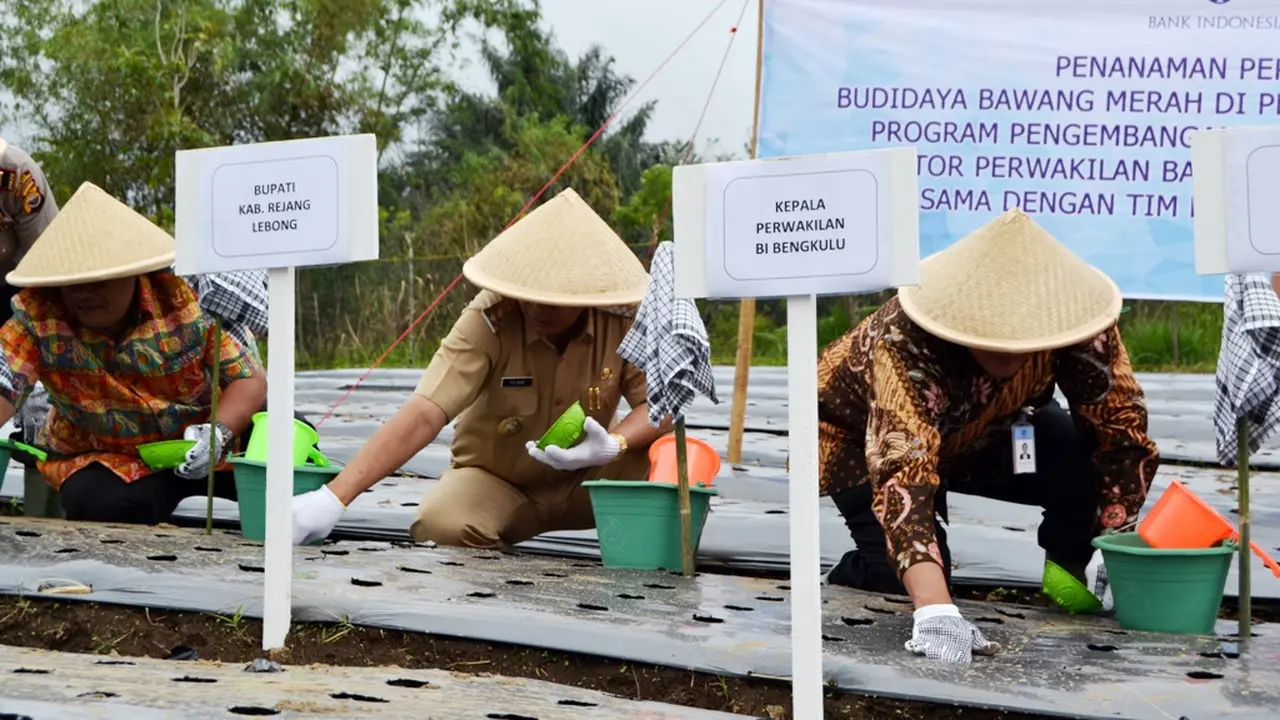 Wujudkan Pendidikan Gratis Pesantren Ini Tanam Bawang Merah