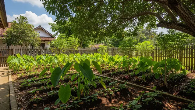 Ide Kebun Kombinasi Umbi-umbian Lokal untuk Cadangan Pangan Rumahan/Gemini AI