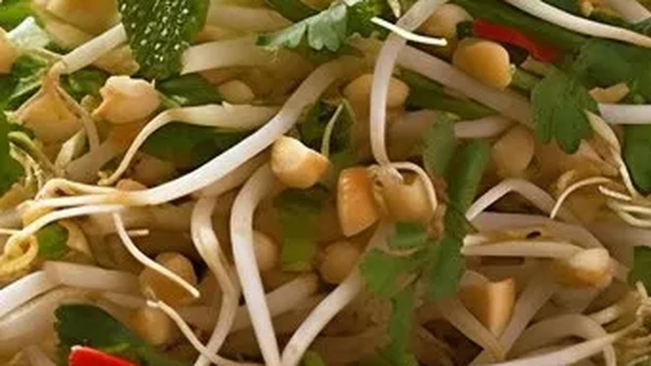 Manfaat Toge untuk Kesehatan Tubuh